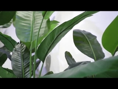 Döner bölüm videosu