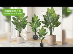 Gerçekçi Yaprak Kenarlı Yapay Gezgin Palmiyesi 160cm 180cm | Gerçeğe Yakın Sahte Cennet Kuşu