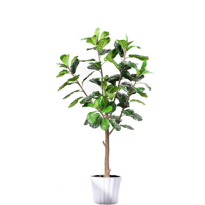 120cm 160cm Artificial Ficus Lyrata House Floor Plants Evergreen Refreshing Plants