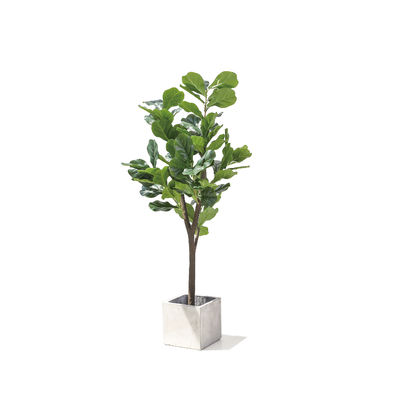 120cm 160cm Artificial Ficus Lyrata House Floor Plants Evergreen Refreshing Plants