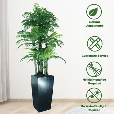 ODM Artificial Landscape Trees Feather Palm Detailed Natural Leaves Indoor Decor