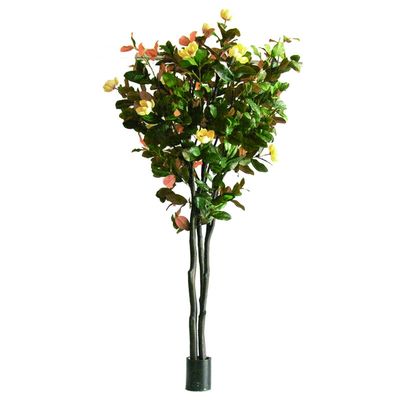 2.45m Fiberglass Artificial Magnolia Tree Architectural Landscaping