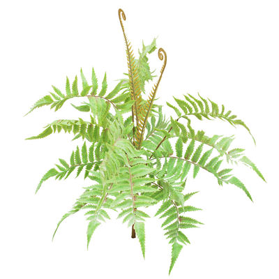 Theme Park Artificial Landscape Trees Fern Bush 20-40cm Natural Looks Realistic