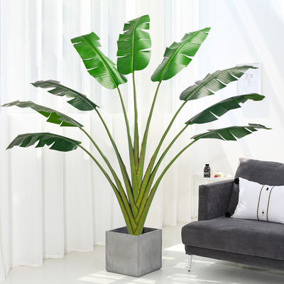 200cm Traveller'S Palm Artificial Landscape Trees For Low Maintenance Evergreen Plants