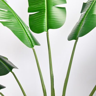 200cm Traveller'S Palm Artificial Landscape Trees For Low Maintenance Evergreen Plants