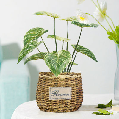 Philodendron Birkin Decoration Artificial Bonsai Tree For Landscaping