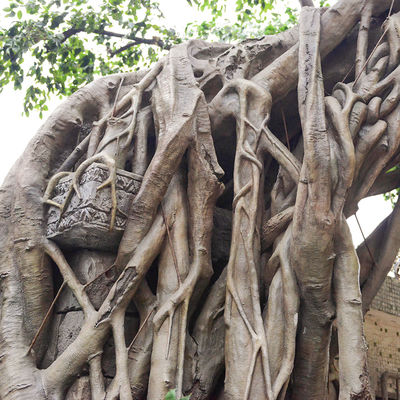 3m Artificial Landscape Trees Large Ficus Simulating Century Old Trees With Old Vines Special Shape