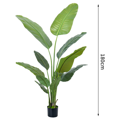 H160cm Artificial Traveller's Palm Customized Decorated For Store Office Corner Home Decor