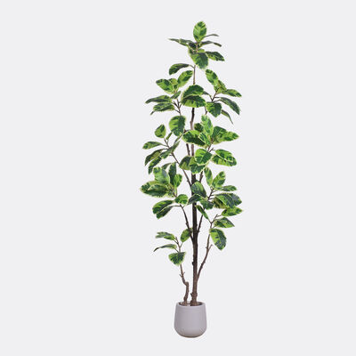 Latest New Arrival Artificial Indoor Plants Potted Plants Green White Faux Rubber Tree for Decoration Home Office Small Plastic