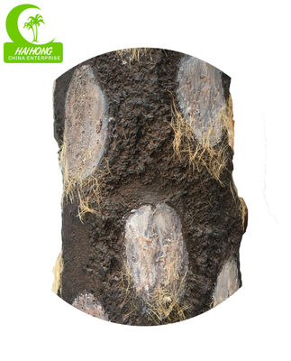 Realistic HAIHONG 230cm Height Artificial Tropical Tree For Theme Park