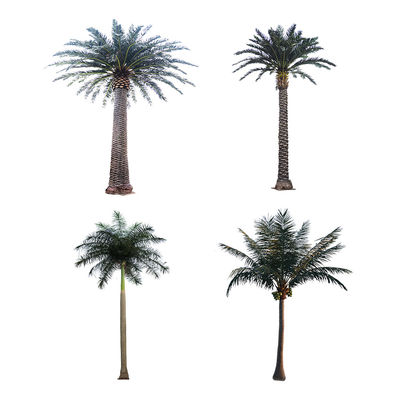 Wind Resistance Anti Aging 1200cm Artificial Tropical Tree For Hotle