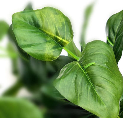 20 Inches High Artificial Plastic Dieffenbachia For Table Office Decoration