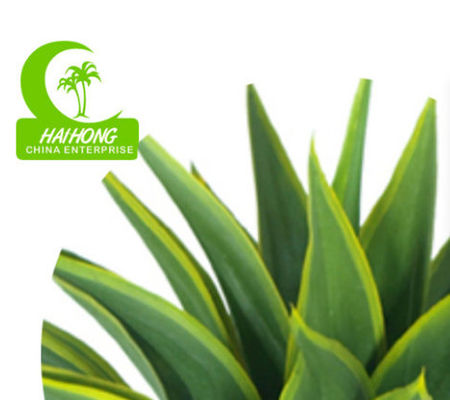 Anti UV Artificial Succulent Plant Landscaping Tropical Fiber Agave