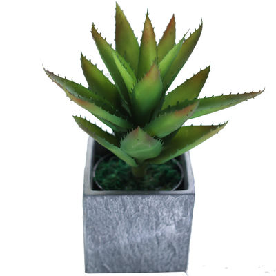 Custom Real Touch Mini Artificial Succulent Plant 35cm With Pot Home Decor