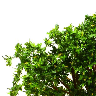 Wholesale Boxwood Tree Artificial Boxwood Tree for Decoration