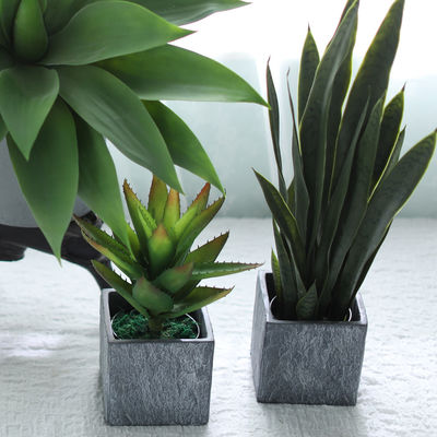 Plastic Artificial Plants Succulents Wedding Indoor Decorative