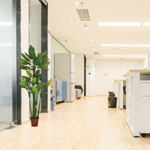 Artificial Dieffenbachia Potted Plants 160cm Home Decor Floor Plants Evergreen Fabric