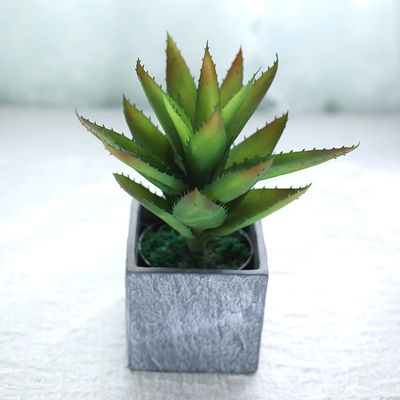 Indoor Decor Artificial Succulent Plant No Nursing Evergreen Four Seasons 50cm Bespoke Bonsai For Hotel Table