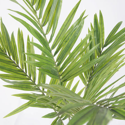 Eco Friendly Artificial Kenita Palm Tree Outdoor Decoration