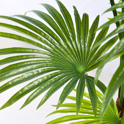 Green Palm Artificial Landscape Trees Potted Plants 120cm With Black Pot No Clor Fading