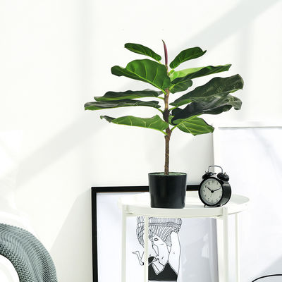 Artificial Fiddle Leaf Fig For Home Outdoor Landscaping Garden Decor