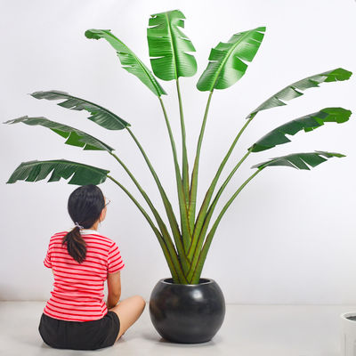 200cm Traveller'S Palm Artificial Landscape Trees For Low Maintenance Evergreen Plants