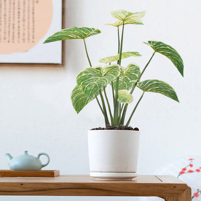 Philodendron Birkin Decoration Artificial Bonsai Tree For Landscaping