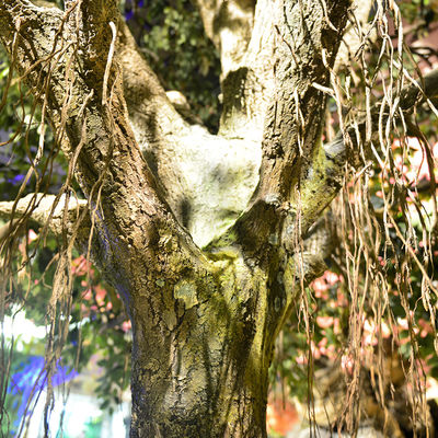 Anti UV Artificial Banyan Tree Large Outdoor Foliage Plant UV Resistant Or Fire Retardent Leaves