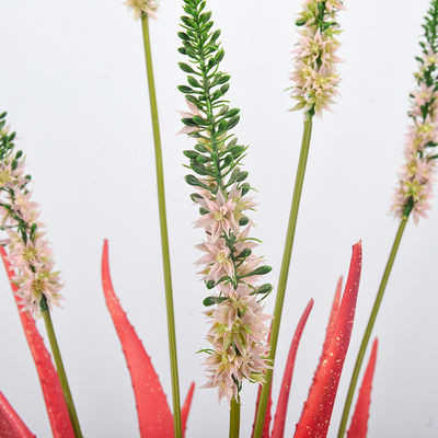 Thick Leaves Artificial Potted Flower Aloe Indoor Decor Realistic Appearance Plant