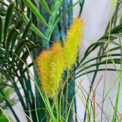 Anti UV Plastic Artificial Landscape Trees With Traveller'S And Areca Palm