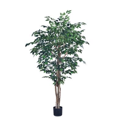 yapay kauçuk ağacı 180 cm, dekorasyon için yapay banyan ağacı