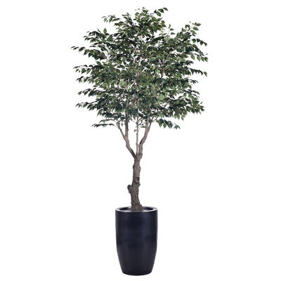 Büyük 280 cm 250cm Anti-Ultraviyole Büyük Sahte Bitkiler Banyan Ağacı Bonsai Bitki Plastik Ev Bahçesi için Bahçe Malzemeleri