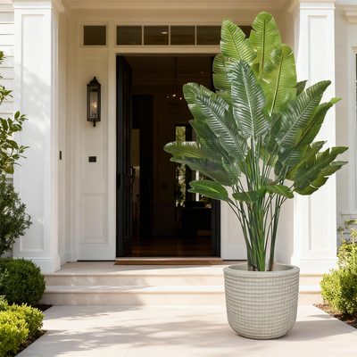 Large Real Touch Artificial Traveler's Banana Tree | Lifelike Faux Traveler's Palm Tree for Tropical Indoor & Office Decor