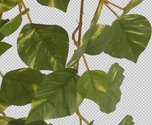 All Season 5pcs 80cm Height Artificial Vine Plant With 88pcs Leaves