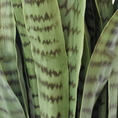 Height 100cm Artificial Potted Floor Plants Agave For Hotel Decor