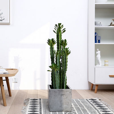 Custom Cactus Ornaments Bonsai Artificial Succulent Plant