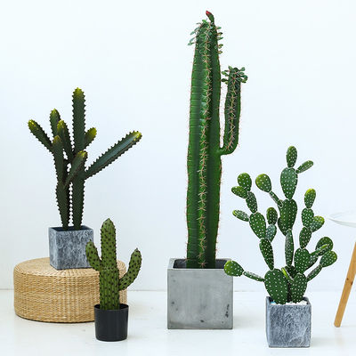 Fashion Cactus And Succulent Fake Plastic Plant For Home Decoration